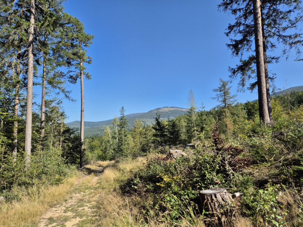 Riesengebirge-Wanderung über die Schneekoppe: Wanderweg in Karpacz