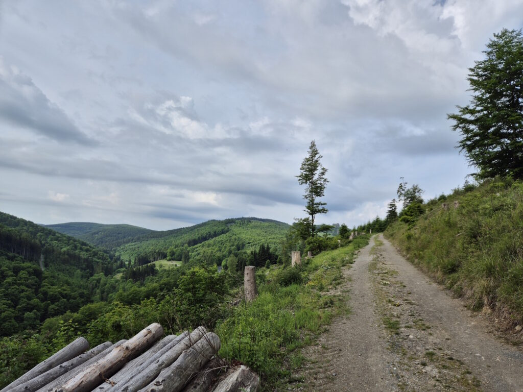Rothaargebirge-Durchquerung: Bruchhauser Steine