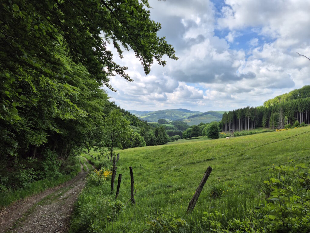 Rothaargebirge-Durchquerung: Abstieg nach Niedersfeld