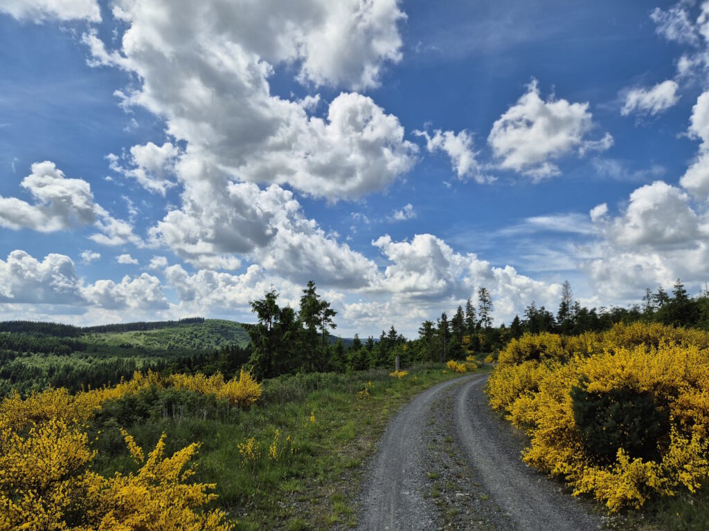 Rothaargebirge-Durchquerung: Nordhelle