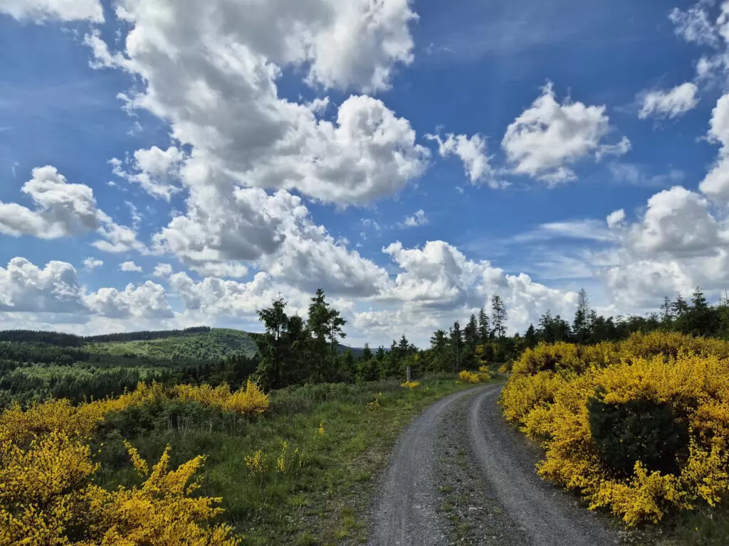 Rothaargebirge-Durchquerung: Nordhelle