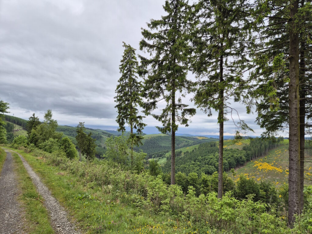 Rothaargebirge-Durchquerung: Hinter Lennewiese