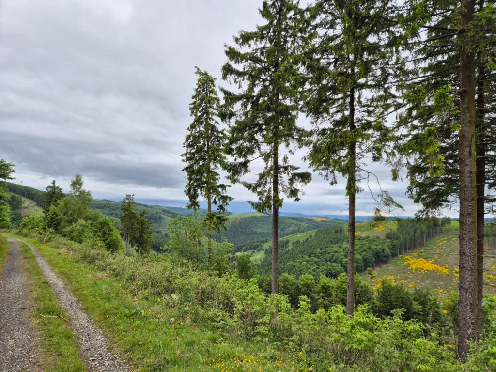 Rothaargebirge-Durchquerung: Hinter Lennewiese