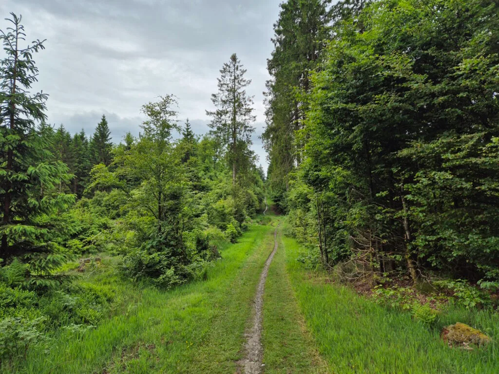 Rothaargebirge-Durchquerung: Grenzweg vor Jagdhaus