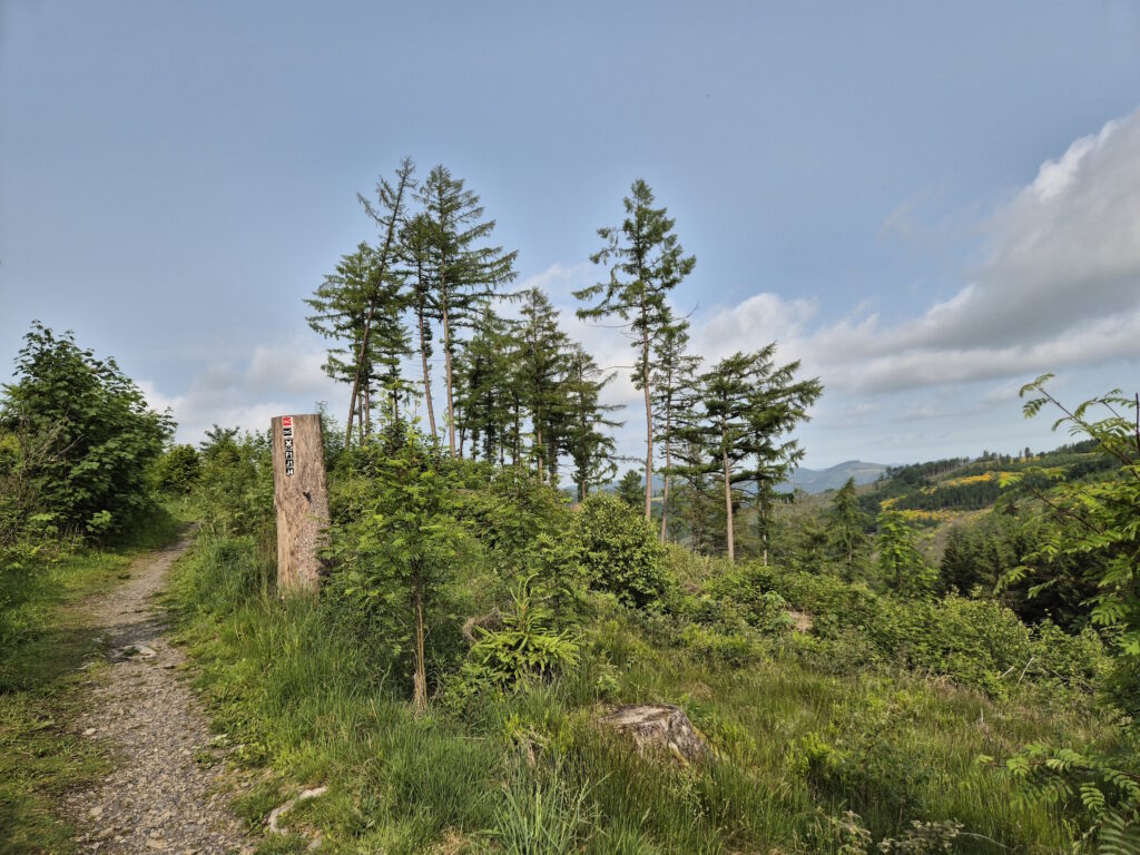 Rothaargebirge-Durchquerung: Hinter Jagdhaus