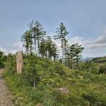 Rothaargebirge-Durchquerung: Hinter Jagdhaus