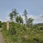 Rothaargebirge-Durchquerung: Hinter Jagdhaus