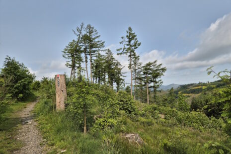 Rothaargebirge-Durchquerung: Hinter Jagdhaus