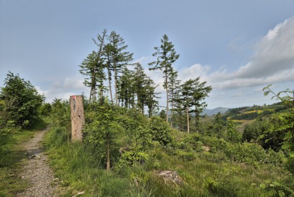 Rothaargebirge-Durchquerung: Hinter Jagdhaus