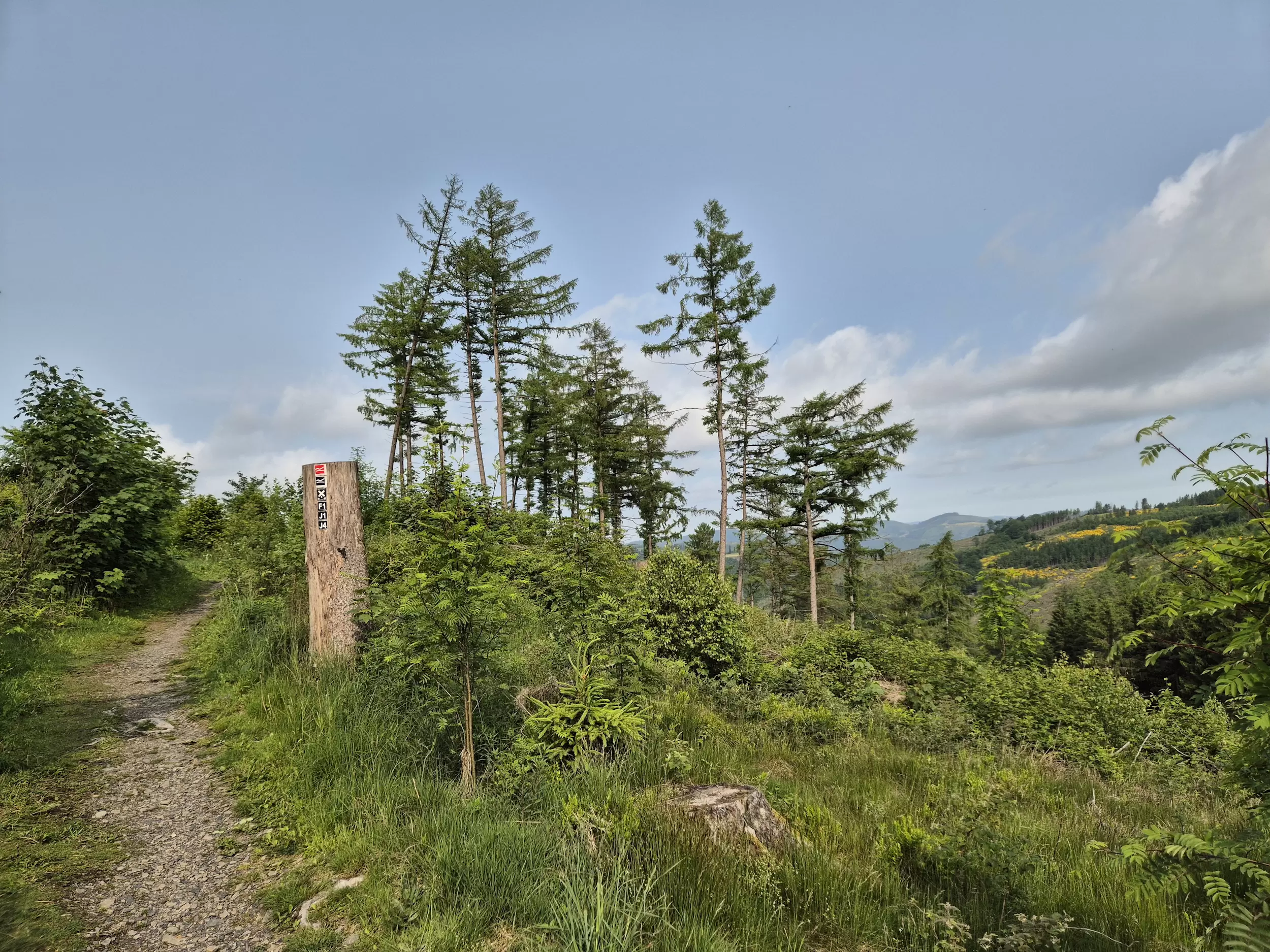 Rothaargebirge-Durchquerung: Hinter Jagdhaus