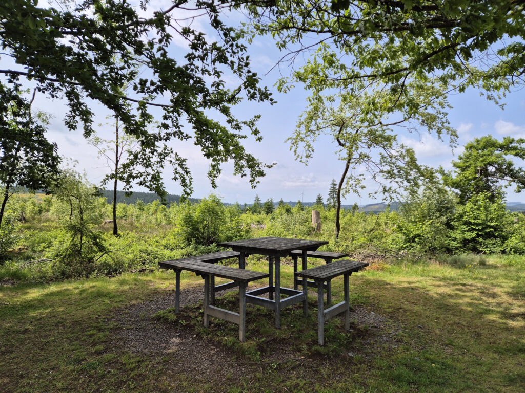 Rothaargebirge-Durchquerung: Rastplatz Hochheide