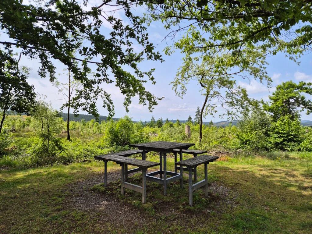 Rothaargebirge-Durchquerung: Rastplatz Hochheide