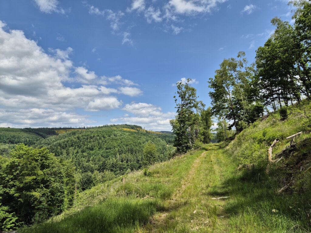 Rothaargebirge-Durchquerung: Vor Nenkersdorf