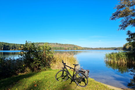 Auf der Scharmützelsee-Radtour: Idylle am Springsee