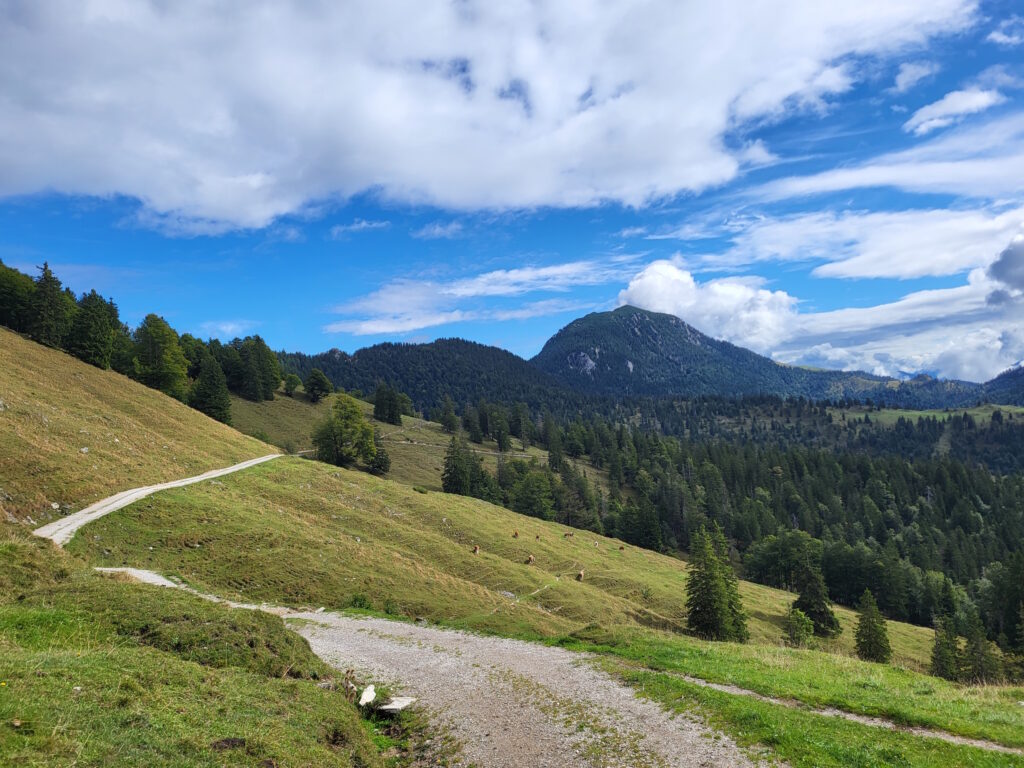 Schwierigkeitsgrad beim Bergwandern T1: Leichte Wanderung auf gutem Weg