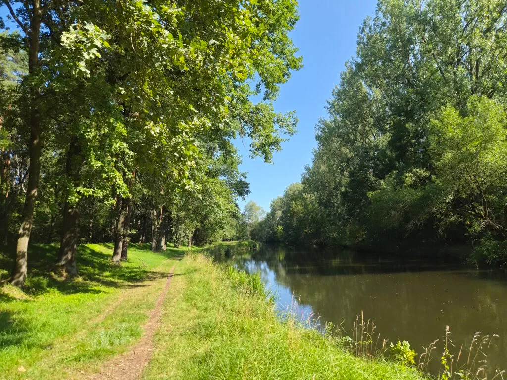 Spreewald-Durchquerung: Spreeaue bei Saspow