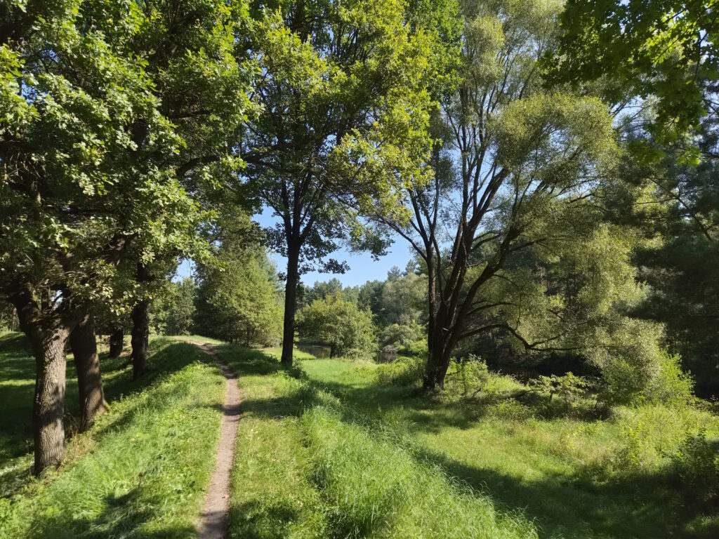 Spreewald-Durchquerung: Spreeaue bei Skadow
