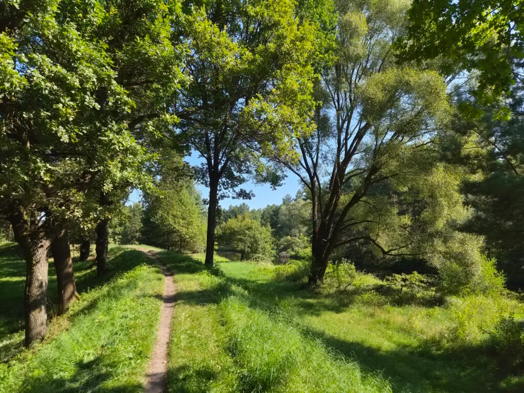 Spreewald-Durchquerung: Spreeaue bei Skadow