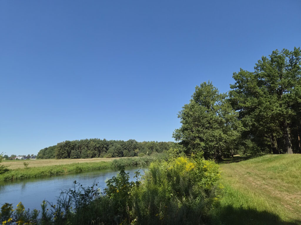 Spreewald-Durchquerung: Döbbrick