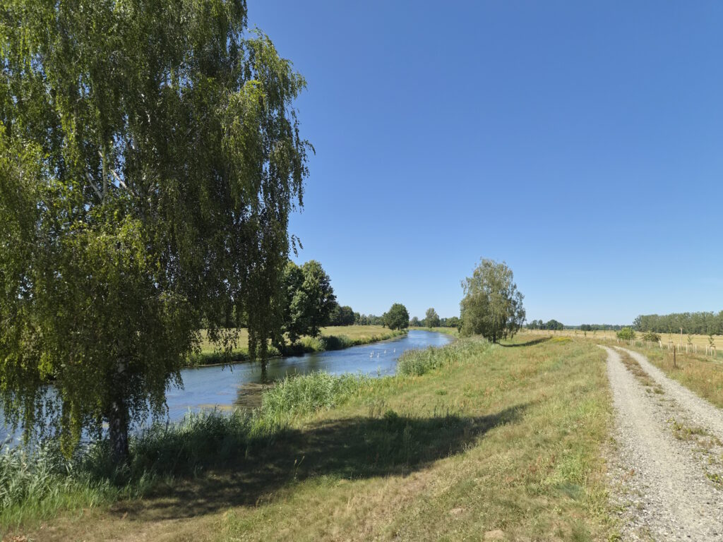 Spreewald-Durchquerung: Nordumfluter kurz vor der Steusiedlung Burg