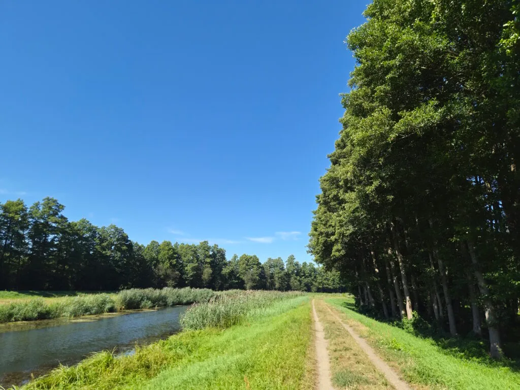 Spreewald-Durchquerung: Nordumfluter vor Alt Zauche