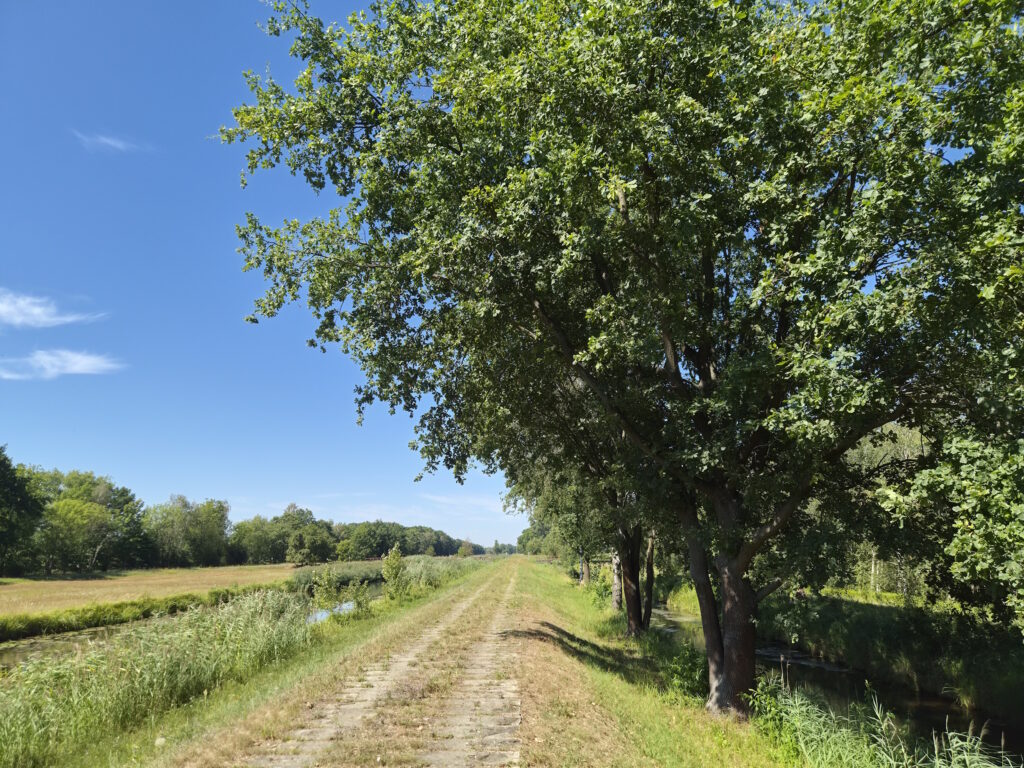Spreewald-Durchquerung: Zwischen Nordumfluter und A-Graben Nord