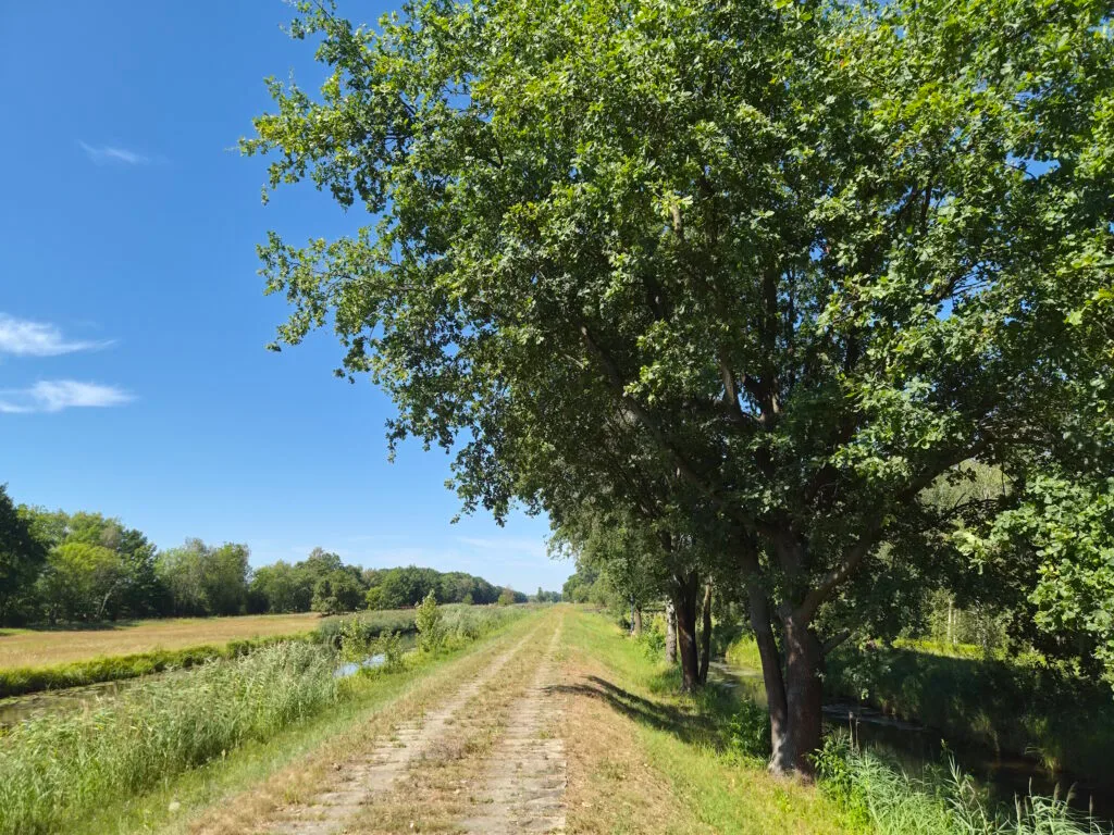 Spreewald-Durchquerung: Zwischen Nordumfluter und A-Graben Nord