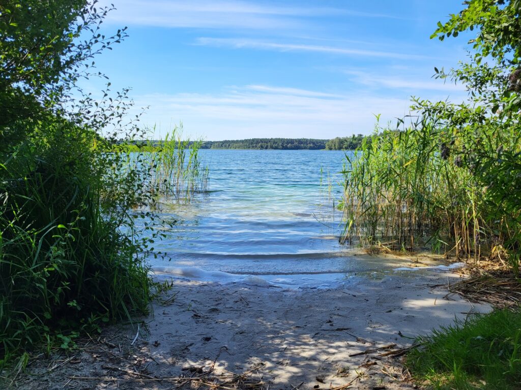 Stechlinsee-Wanderung von Rheinsberg nach Fürstenberg: Wittwesee