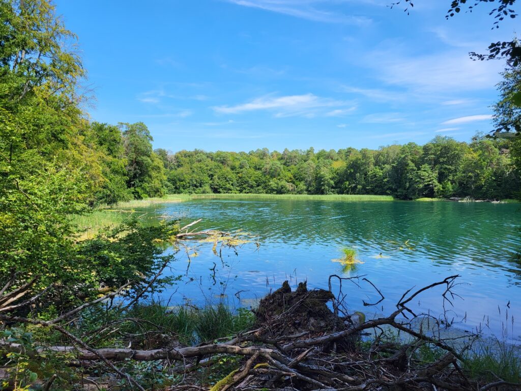 Stechlinsee-Wanderung von Rheinsberg nach Fürstenberg: Stechlinsee Nordbucht