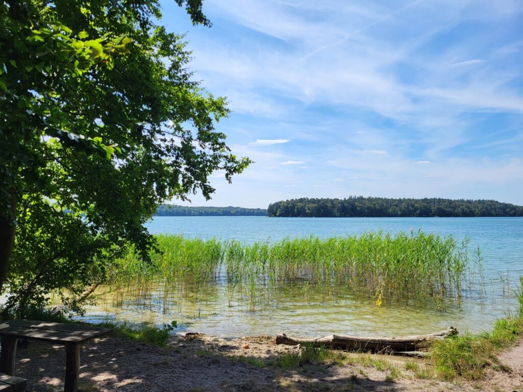 Stechlinsee-Wanderung von Rheinsberg nach Fürstenberg: Badebucht am Ostufer des Großen Stechlinsees