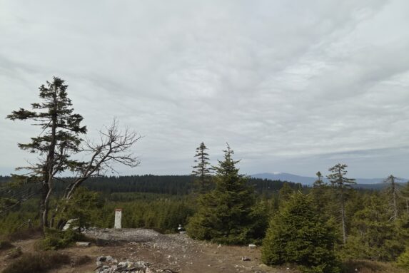 Sudeten-Durchquerung Teil 1: Blick zurück vom Wetzsteinkamm zum Altvater