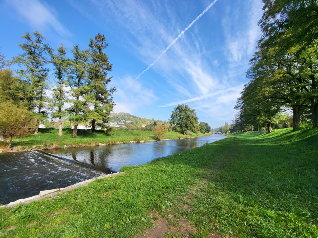 Südschwarzwald-Durchquerung: Wiese in Riehen