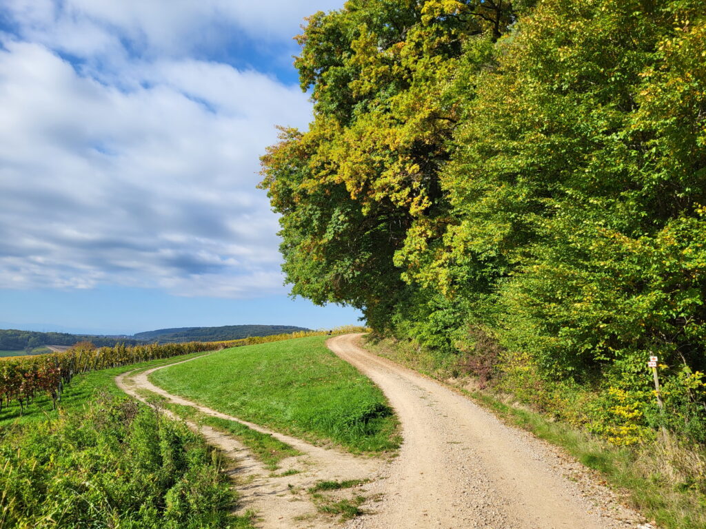 Südschwarzwald-Durchquerung: Hinter Wollbach