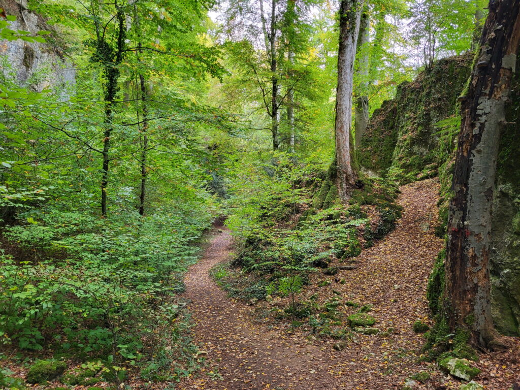 Südschwarzwald-Durchquerung: Wolfsschlucht