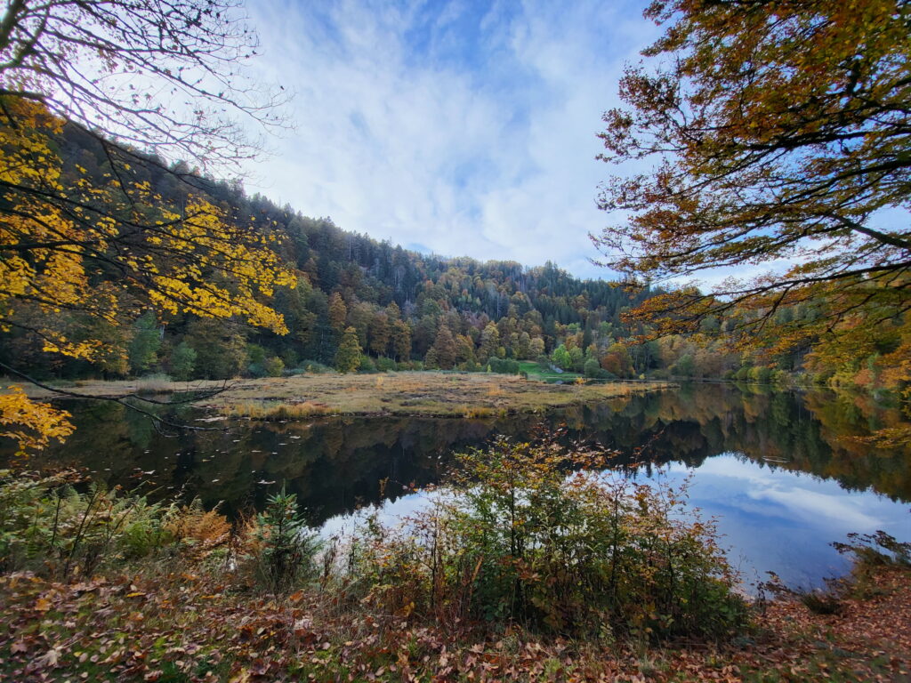 Südschwarzwald-Durchquerung: Abstecher zum Nonnenmattweiher