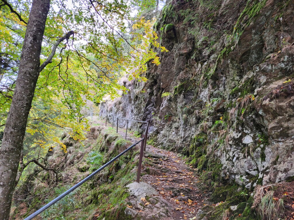 Südschwarzwald-Durchquerung: Hohkelch-Flanke