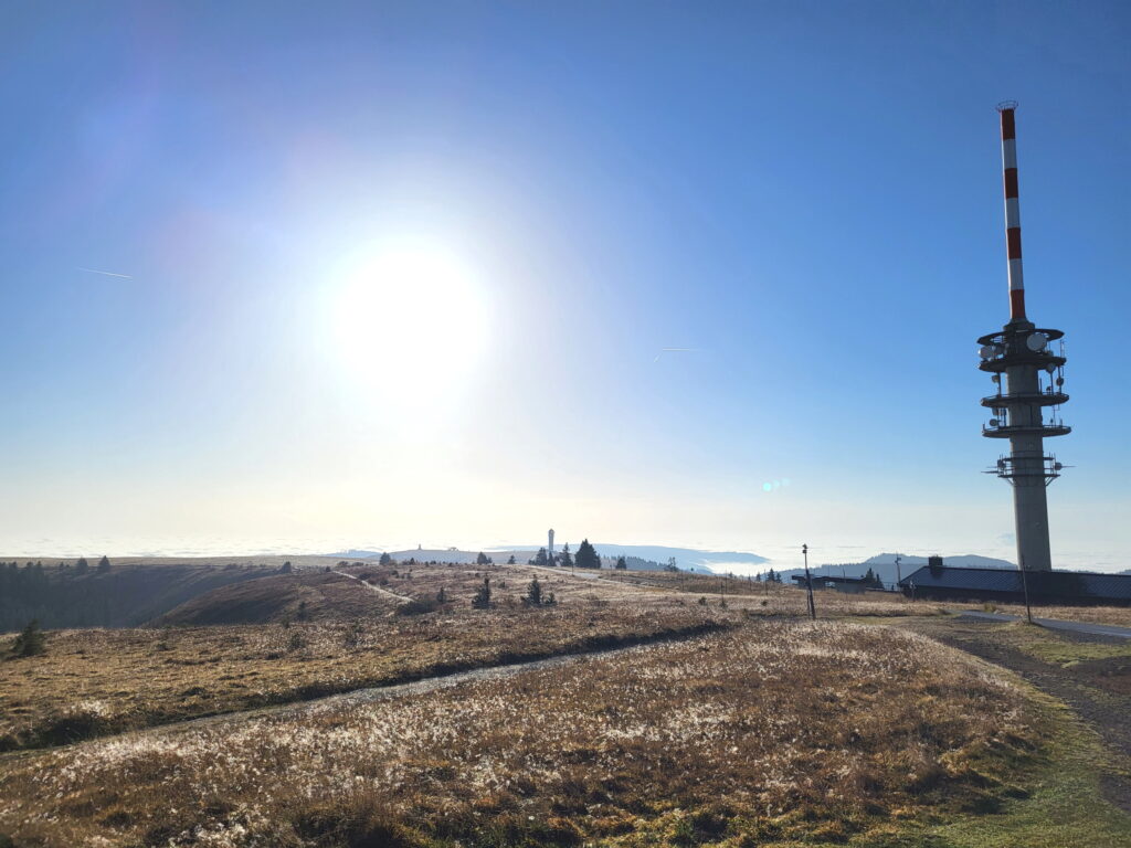 Südschwarzwald-Durchquerung: Feldberg-Plateau