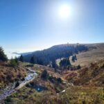 Südschwarzwald-Durchquerung: Abstieg vom Feldberg