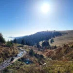 Südschwarzwald-Durchquerung Südschwarzwald-Durchquerung: Abstieg vom Feldberg