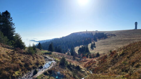 Südschwarzwald-Durchquerung: Abstieg vom Feldberg