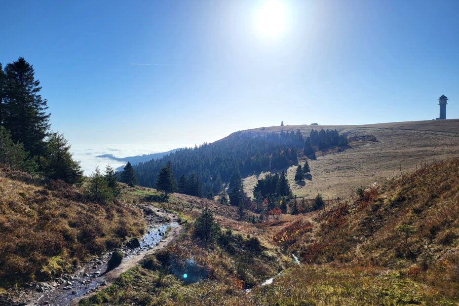 Südschwarzwald-Durchquerung: Abstieg vom Feldberg