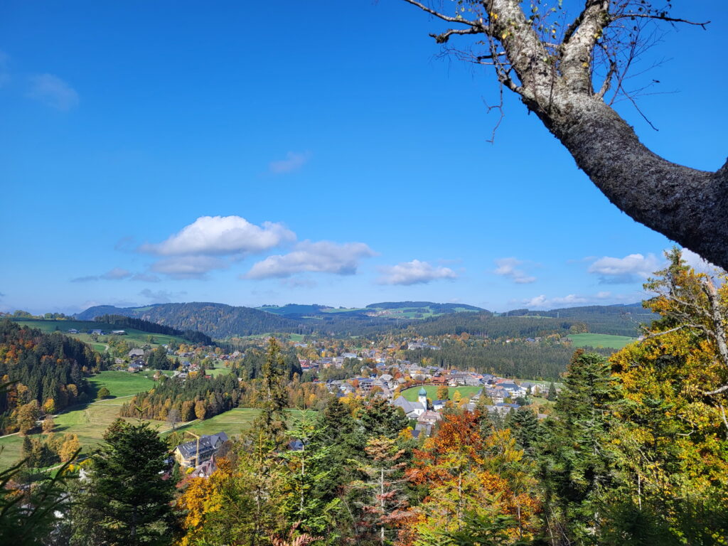 Südschwarzwald-Durchquerung: Blick auf Hinterzarten