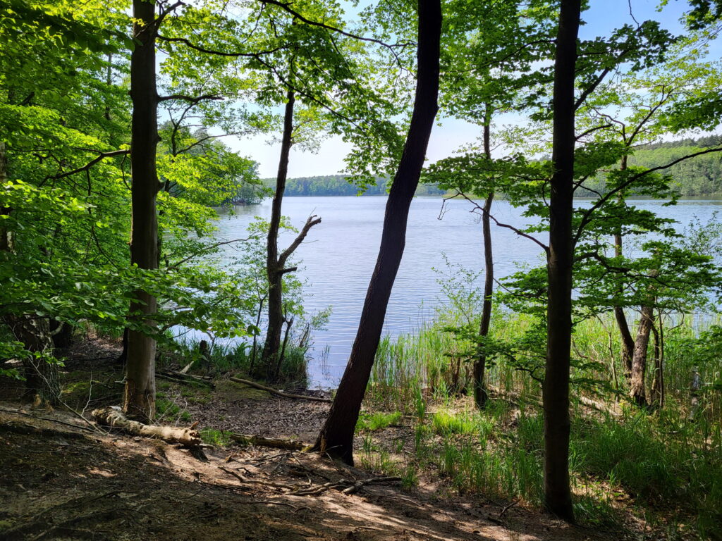 Tegeler Fließ Wanderung: Mühlenbecker See