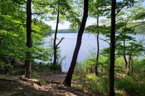 Tegeler Fließ Wanderung: Mühlenbecker See