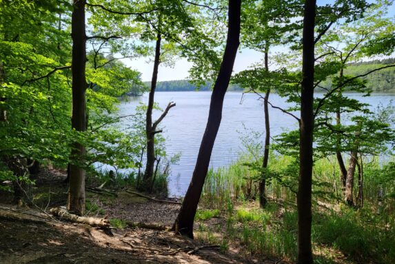 Tegeler Fließ Wanderung: Mühlenbecker See