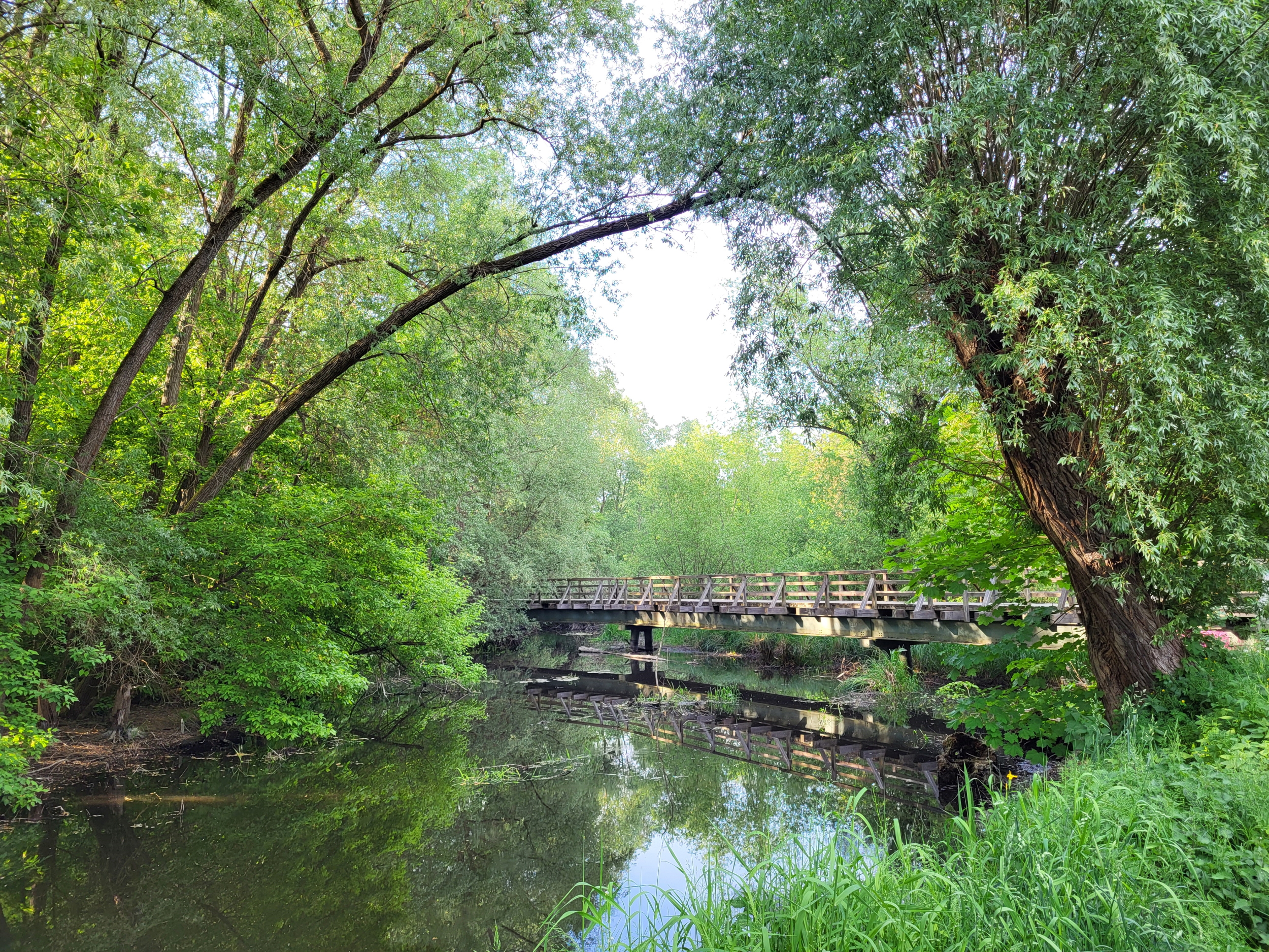 Tegeler Fließ Wanderung: Holzbrücke in Tegel