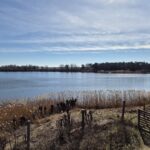 Tegeler-Flughafen-Wanderung: Flughafensee