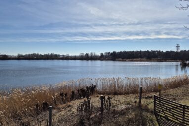 Tegeler-Flughafen-Wanderung: Flughafensee