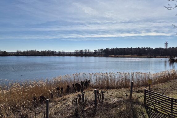 Tegeler-Flughafen-Wanderung: Flughafensee