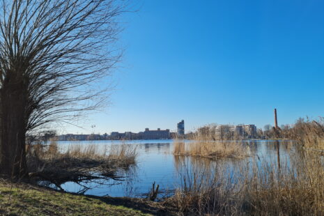 Krienicke-Park mit Spandaublick, Tegeler See und Spandauer See Wanderung